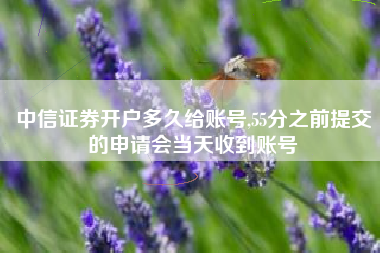 中信证券开户多久给账号,55分之前提交的申请会当天收到账号