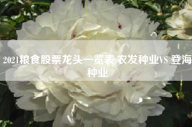 2021粮食股票龙头一览表,农发种业VS 登海种业