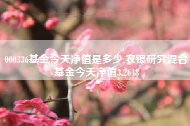 000336基金今天净值是多少,农银研究混合基金今天净值3.2648