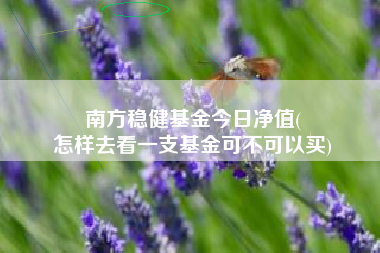南方稳健基金今日净值(
怎样去看一支基金可不可以买)