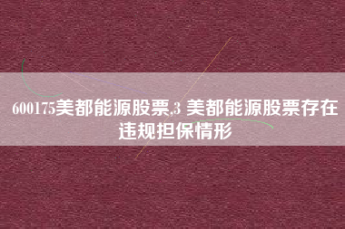 600175美都能源股票,3 美都能源股票存在违规担保情形