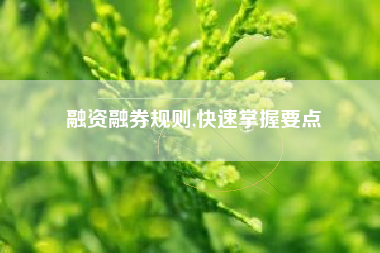 融资融券规则,快速掌握要点