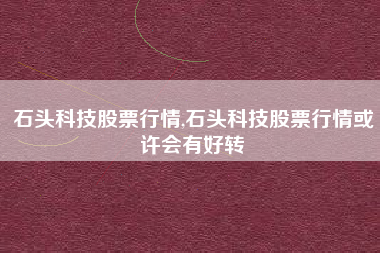 石头科技股票行情,石头科技股票行情或许会有好转