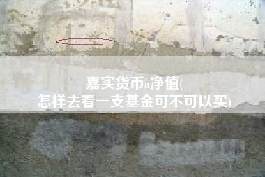 嘉实货币a净值(
怎样去看一支基金可不可以买)