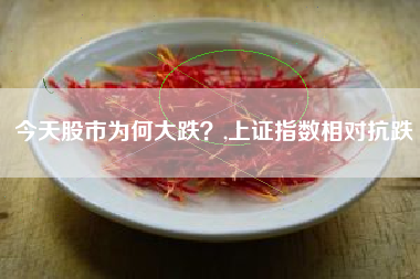 今天股市为何大跌？,上证指数相对抗跌