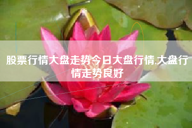 股票行情大盘走势今日大盘行情,大盘行情走势良好