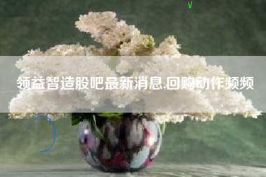领益智造股吧最新消息,回购动作频频