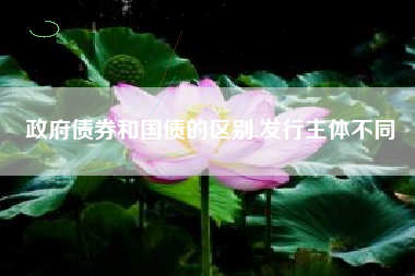 政府债券和国债的区别,发行主体不同