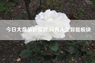 今日大盘最新指数,只有人工智能板块