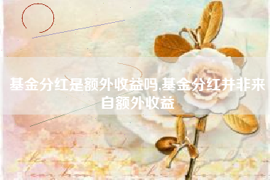 基金分红是额外收益吗,基金分红并非来自额外收益