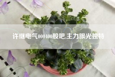 许继电气000400股吧,主力眼光独特