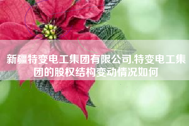 新疆特变电工集团有限公司,特变电工集团的股权结构变动情况如何