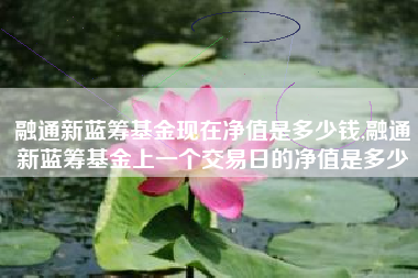 融通新蓝筹基金现在净值是多少钱,融通新蓝筹基金上一个交易日的净值是多少