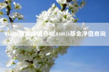 040016基金净值查询,040016基金净值查询