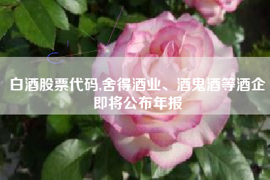 白酒股票代码,舍得酒业、酒鬼酒等酒企即将公布年报