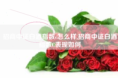 招商中证白酒指数c怎么样,招商中证白酒指数C表现如何