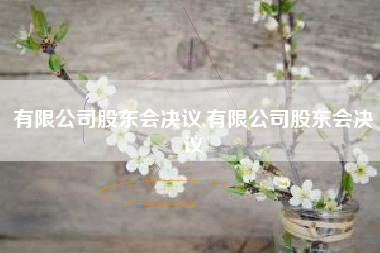 有限公司股东会决议,有限公司股东会决议