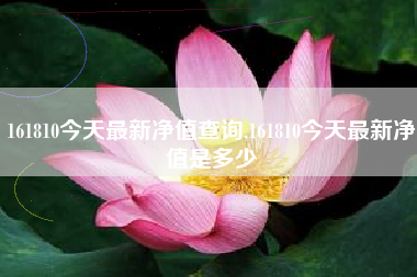 161810今天最新净值查询,161810今天最新净值是多少