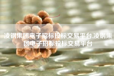 凌钢集团电子招标投标交易平台,凌钢集团电子招标投标交易平台