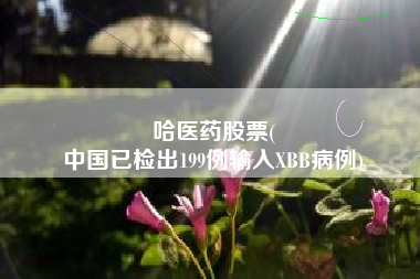 哈医药股票(
中国已检出199例输入XBB病例)