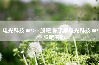 电光科技 002730 股吧,你了解电光科技 002730 股吧的吗