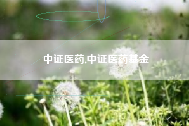 中证医药,中证医药基金