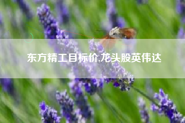 东方精工目标价,龙头股英伟达