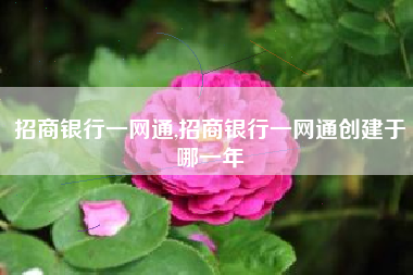 招商银行一网通,招商银行一网通创建于哪一年