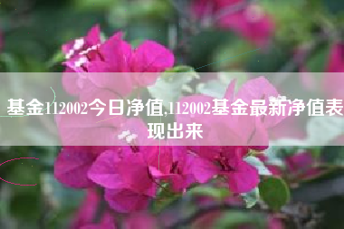 基金112002今日净值,112002基金最新净值表现出来
