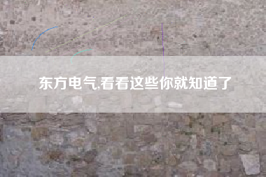 东方电气,看看这些你就知道了