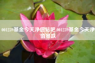 001239基金今天净值贴吧,001239基金今天净值暴跌