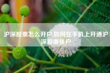 沪深股票怎么开户,如何在手机上开通沪深股票账户