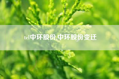 tcl中环股份,中环股份变迁
