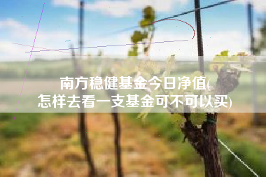 南方稳健基金今日净值(
怎样去看一支基金可不可以买)