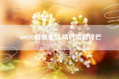 600192股票走势,晴时暗藏锋芒