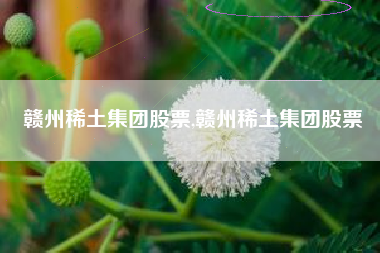 赣州稀土集团股票,赣州稀土集团股票