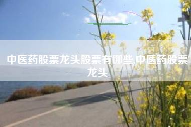 中医药股票龙头股票有哪些,中医药股票龙头