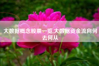 大数据概念股票一览,大数据资金流向何去何从