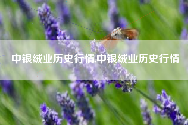 中银绒业历史行情,中银绒业历史行情
