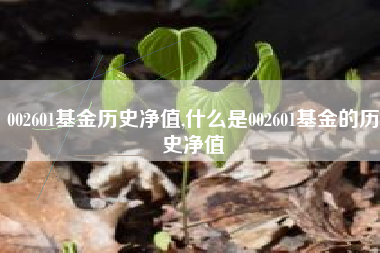 002601基金历史净值,什么是002601基金的历史净值