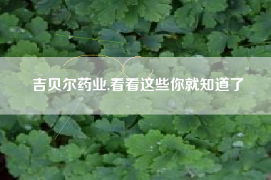 吉贝尔药业,看看这些你就知道了