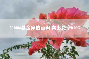 501006基金净值查询,卖出费率0.00%