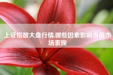 上证指数大盘行情,哪些因素影响当前市场表现