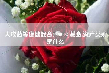 大成蓝筹稳健混合(090003)基金,资产类别是什么