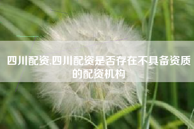 四川配资,四川配资是否存在不具备资质的配资机构