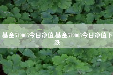 基金519005今日净值,基金519005今日净值下跌