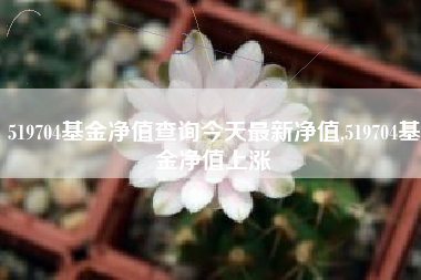519704基金净值查询今天最新净值,519704基金净值上涨