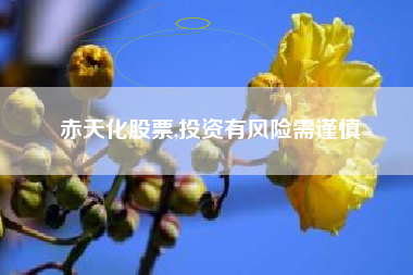 赤天化股票,投资有风险需谨慎