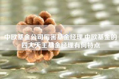 中欧基金公司厉害基金经理,中欧基金的四大天王基金经理有何特点