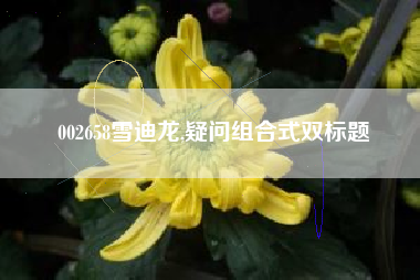 002658雪迪龙,疑问组合式双标题